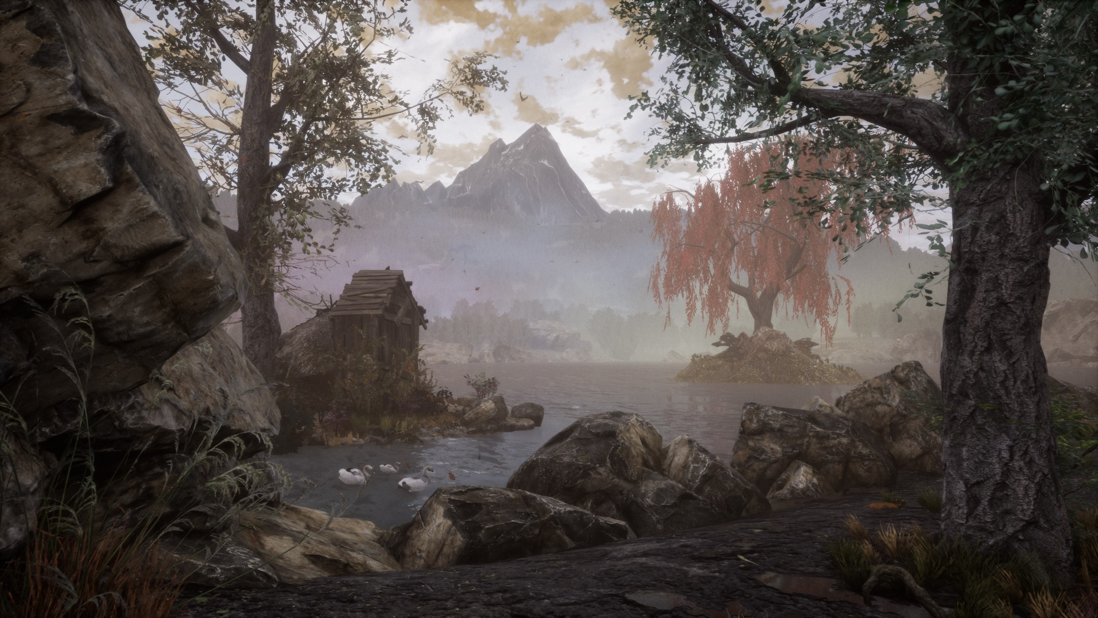The Dead Tree of Ranchiuna - Imagen 5